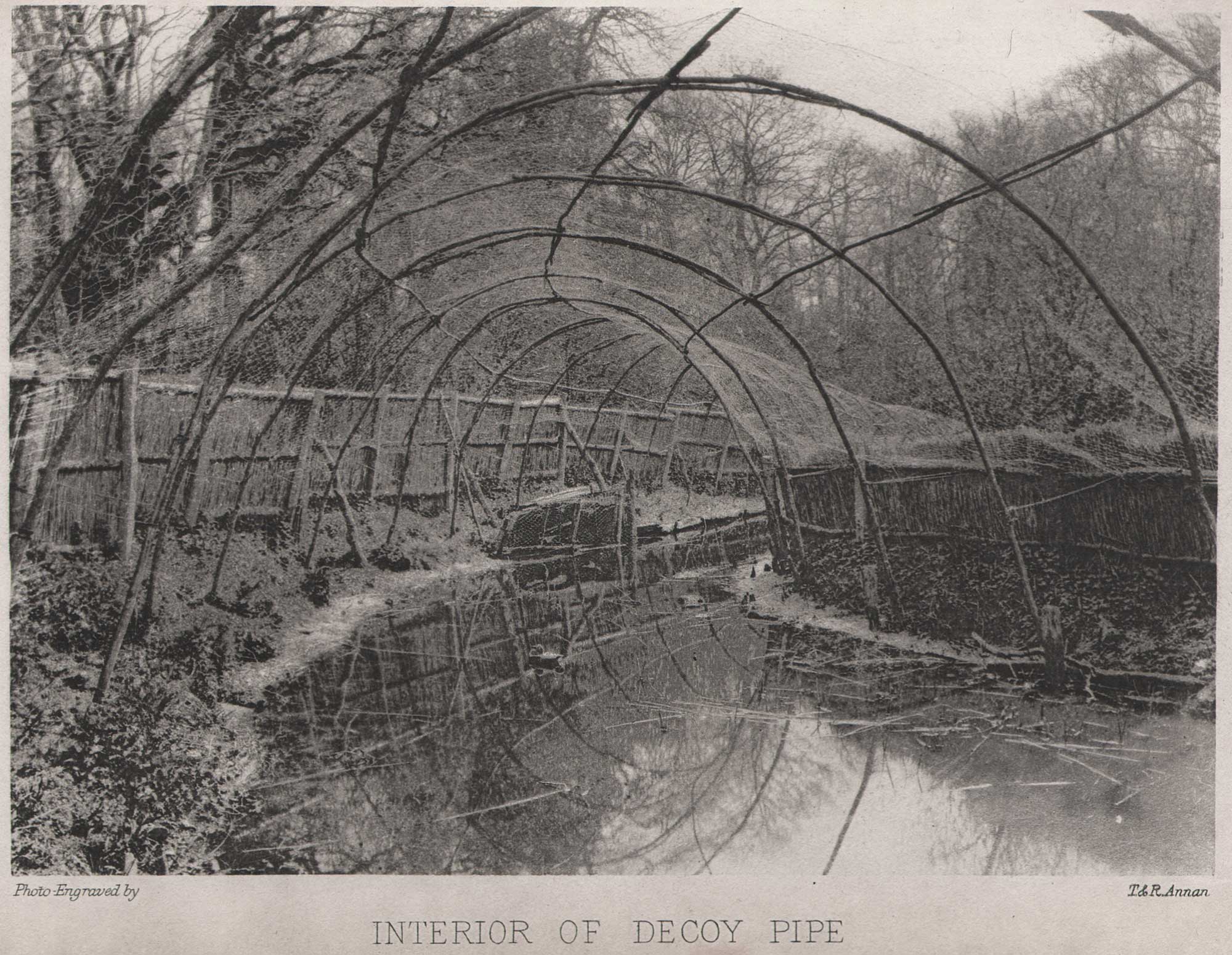 Interior of Decoy Pipe