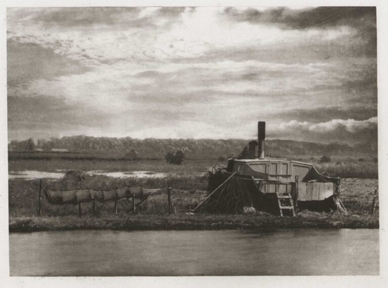 Eel Set, Irstead Shoals | River Ant