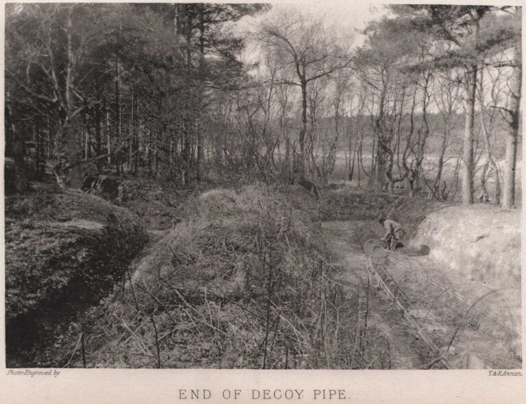 End of Decoy Pipe