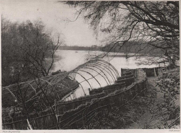 General View of Decoy Pipe