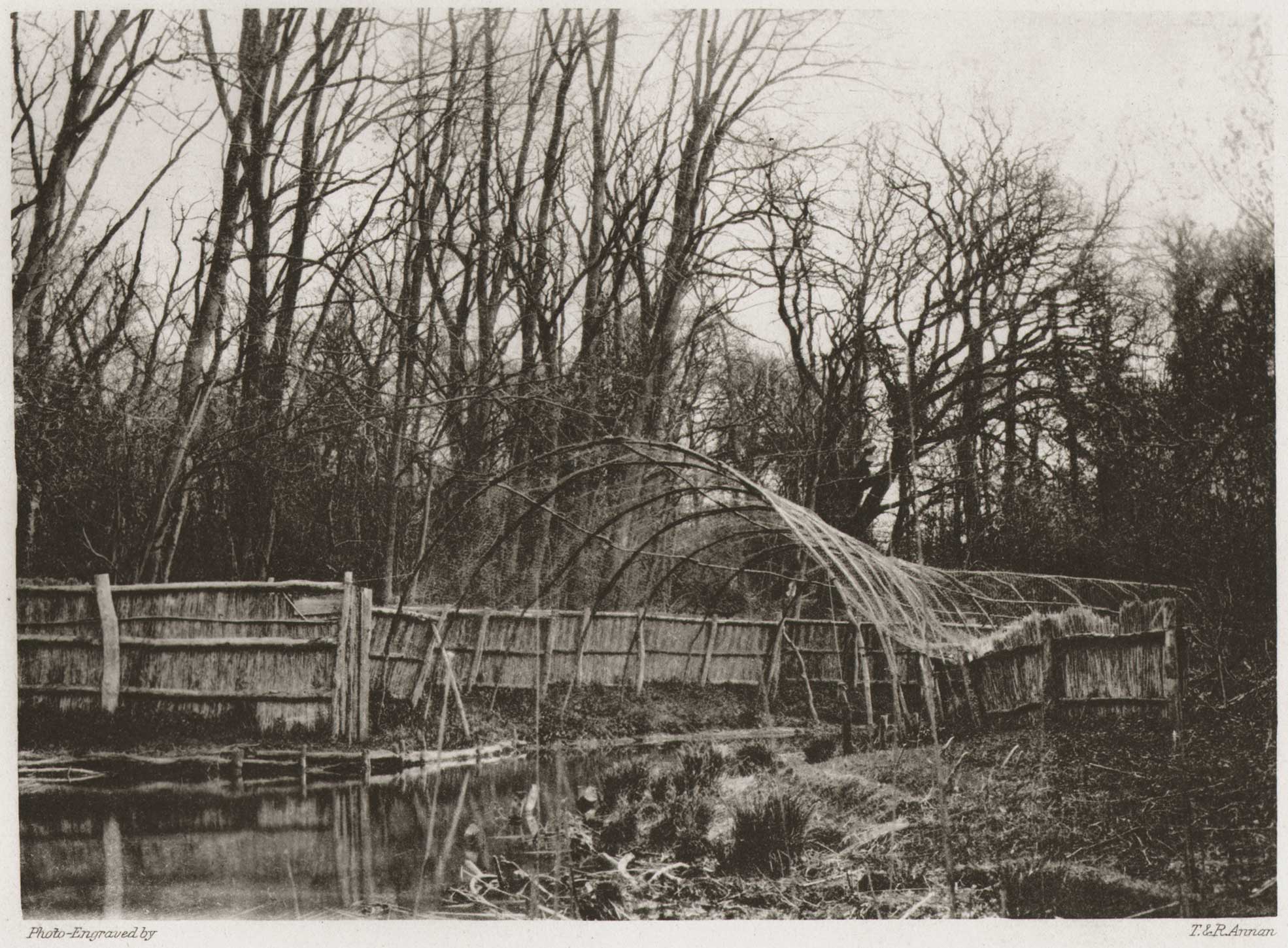 Wildfowl Decoy at Fritton: Mouth of Pipe