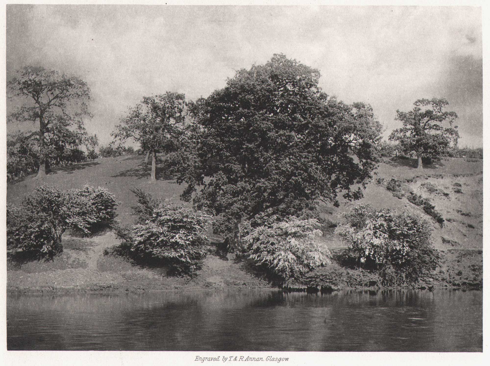 Postwick Grove in May-time