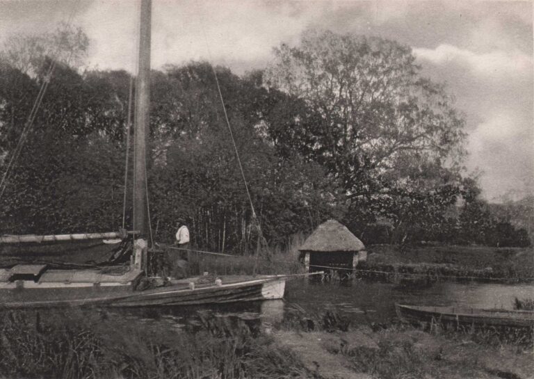 Salhouse Dyke