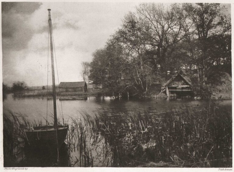 Salhouse Little Broad