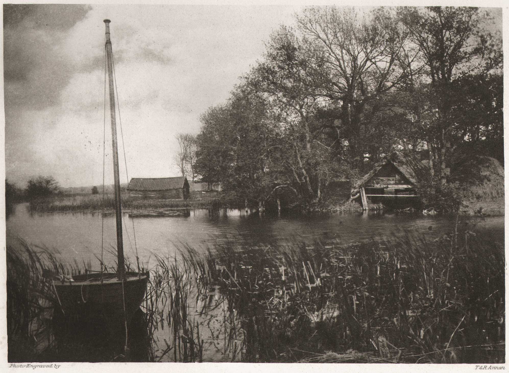 Salhouse Little Broad