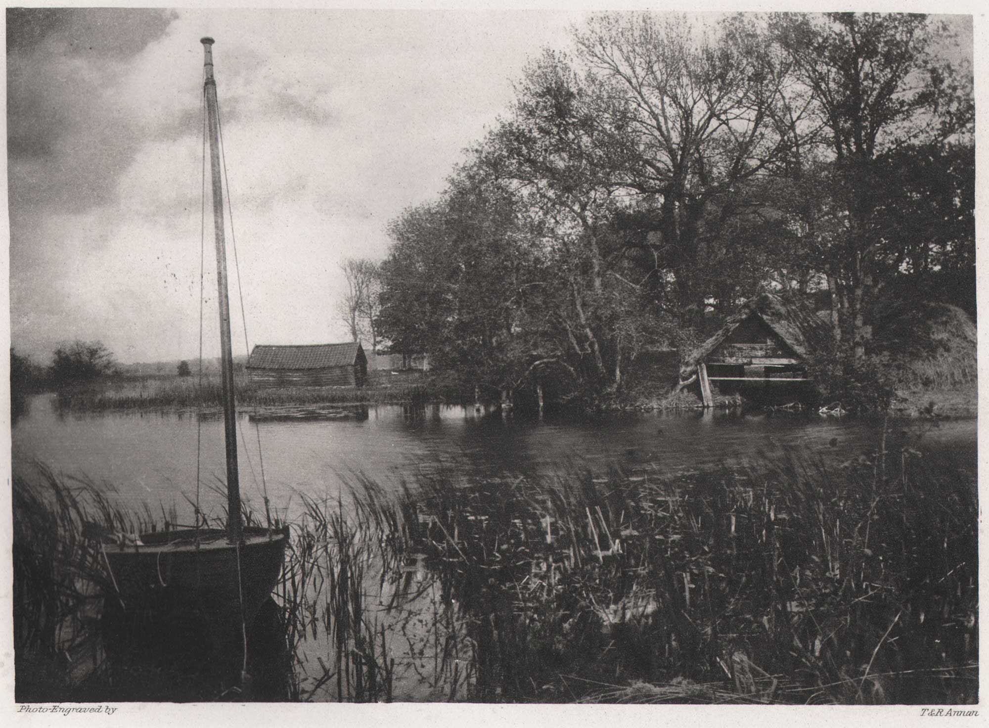 Salhouse Little Broad
