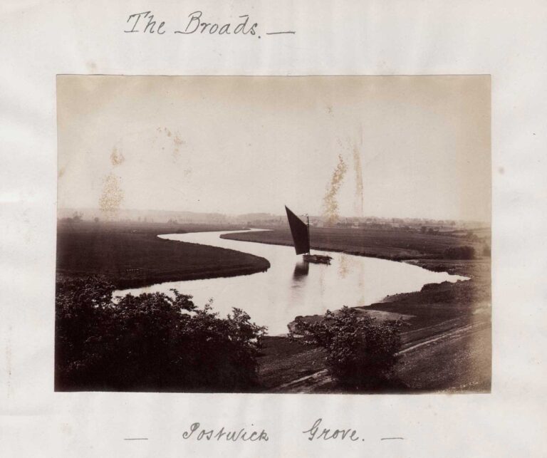 The Broads ⎯ Postwick Grove