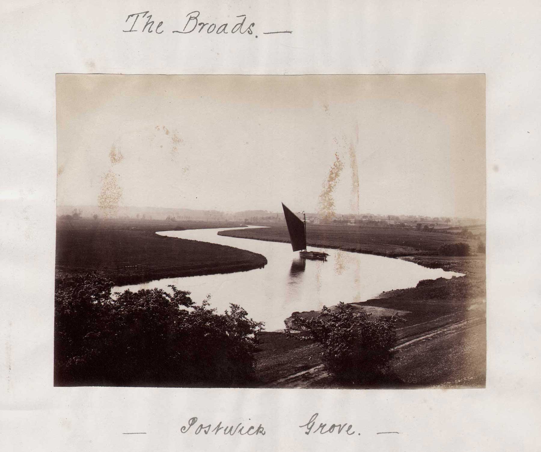 The Broads ⎯ Postwick Grove
