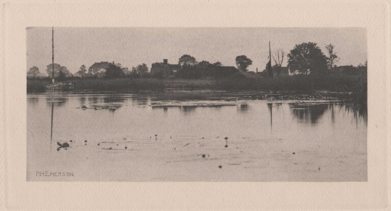 The Fringe of the Mere