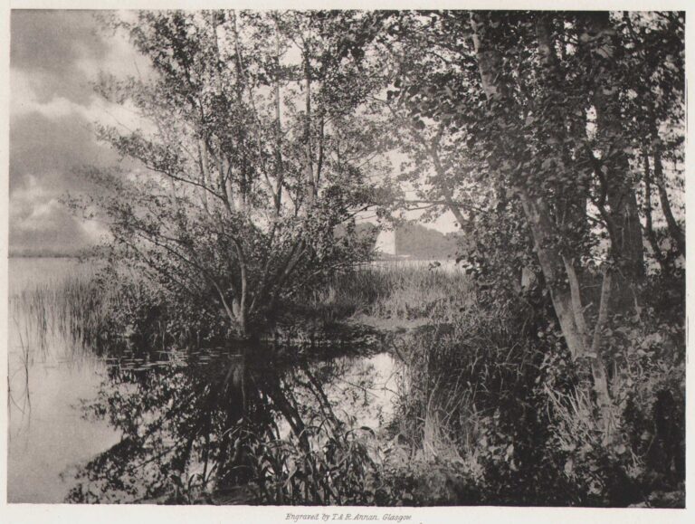 The Kingfisher’s Pool ⎯Salhouse