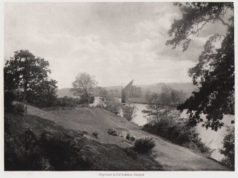 View from Postwick