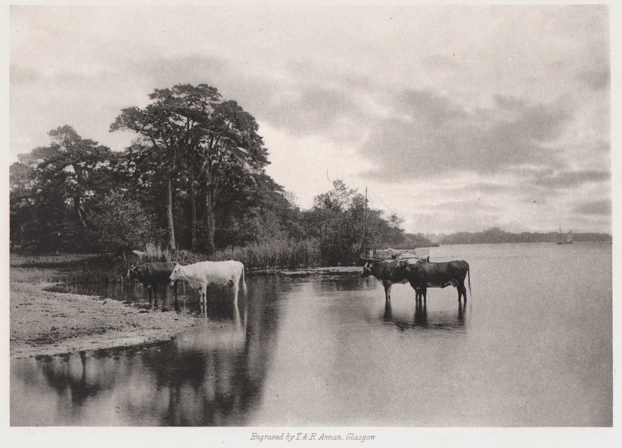 Wroxham Broad