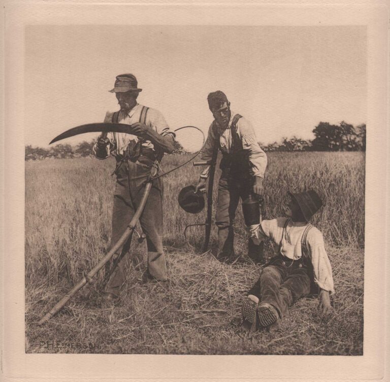 In the Barley Harvest