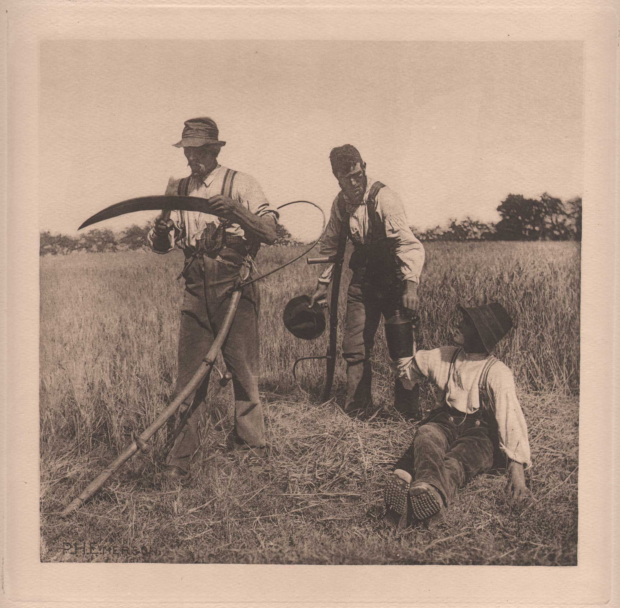 In the Barley Harvest