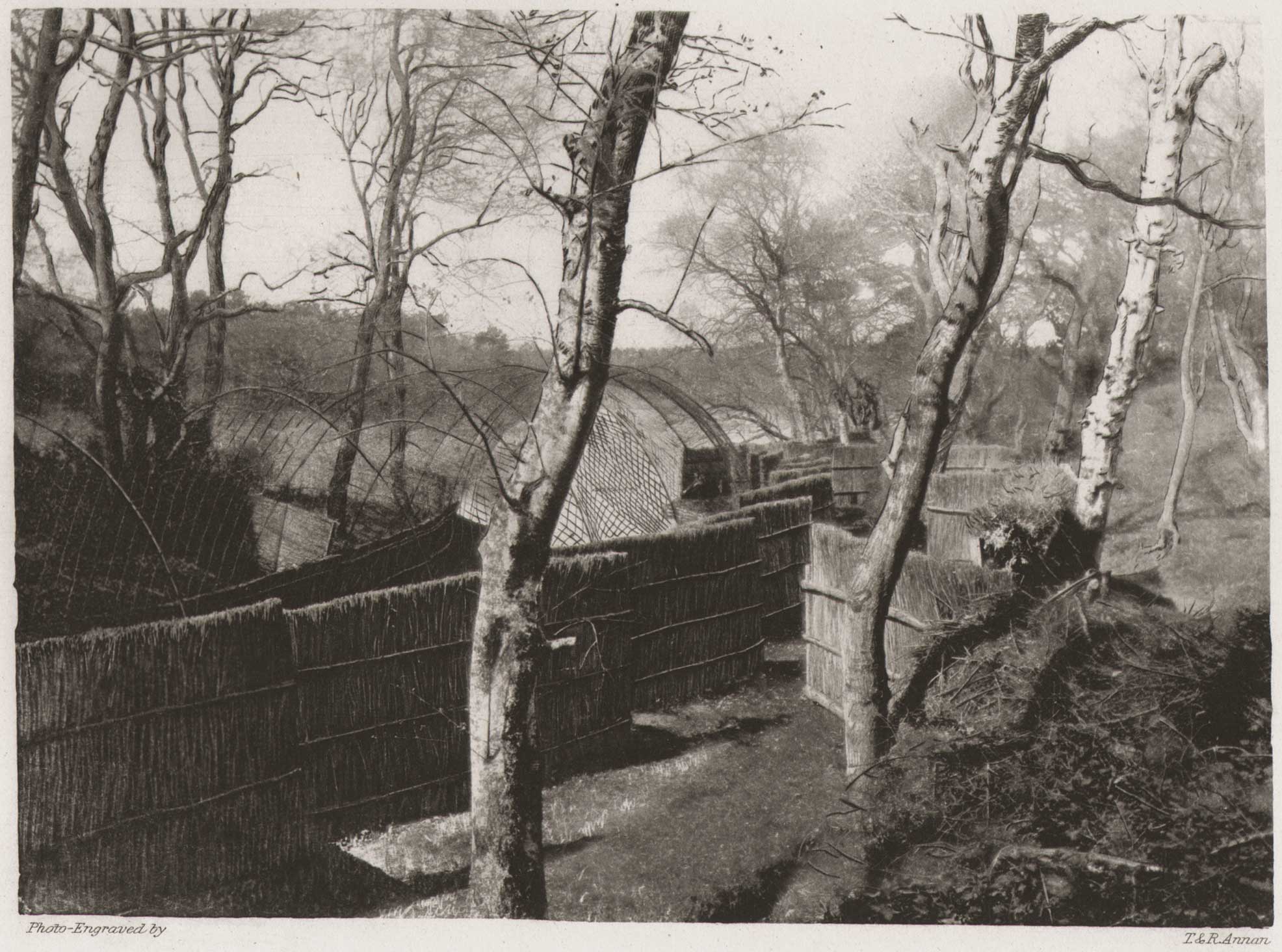 Wildfowl Decoy at Fritton: Screens of Pipe