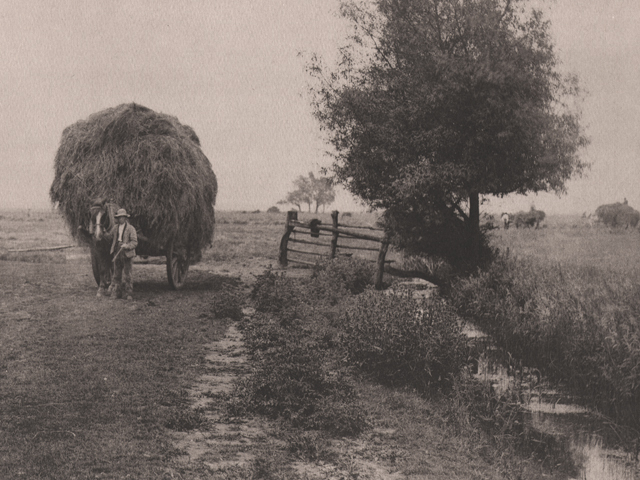 Frontispiece: In the Haysel