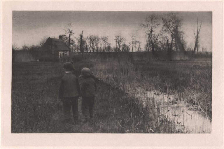 A Toad in the Path ⎯ Early Spring in Norfolk