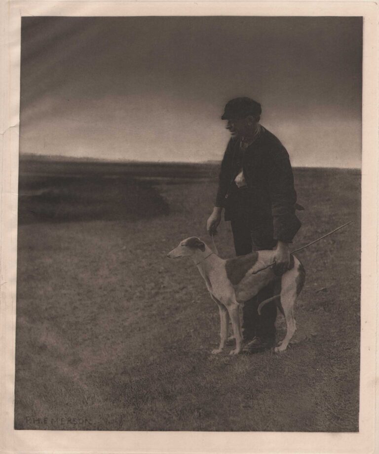 The Poacher—A Hare in View  {Suffolk}