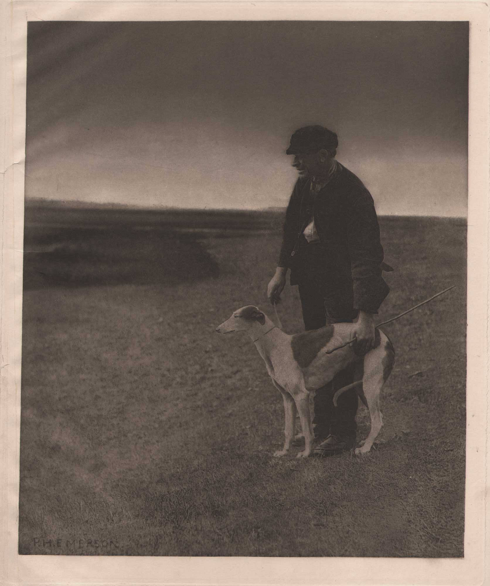 The Poacher—A Hare in View {Suffolk}