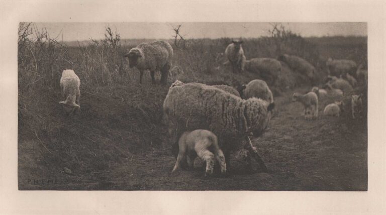 A March Pastoral  {Suffolk}