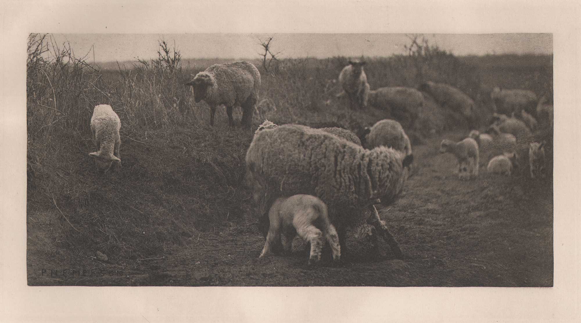 A March Pastoral {Suffolk}