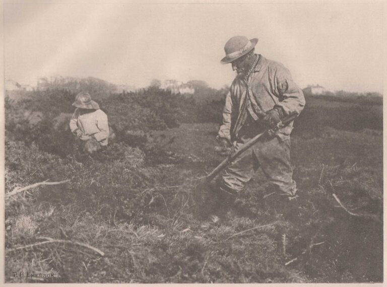 Furze Cutting on a Suffolk Common