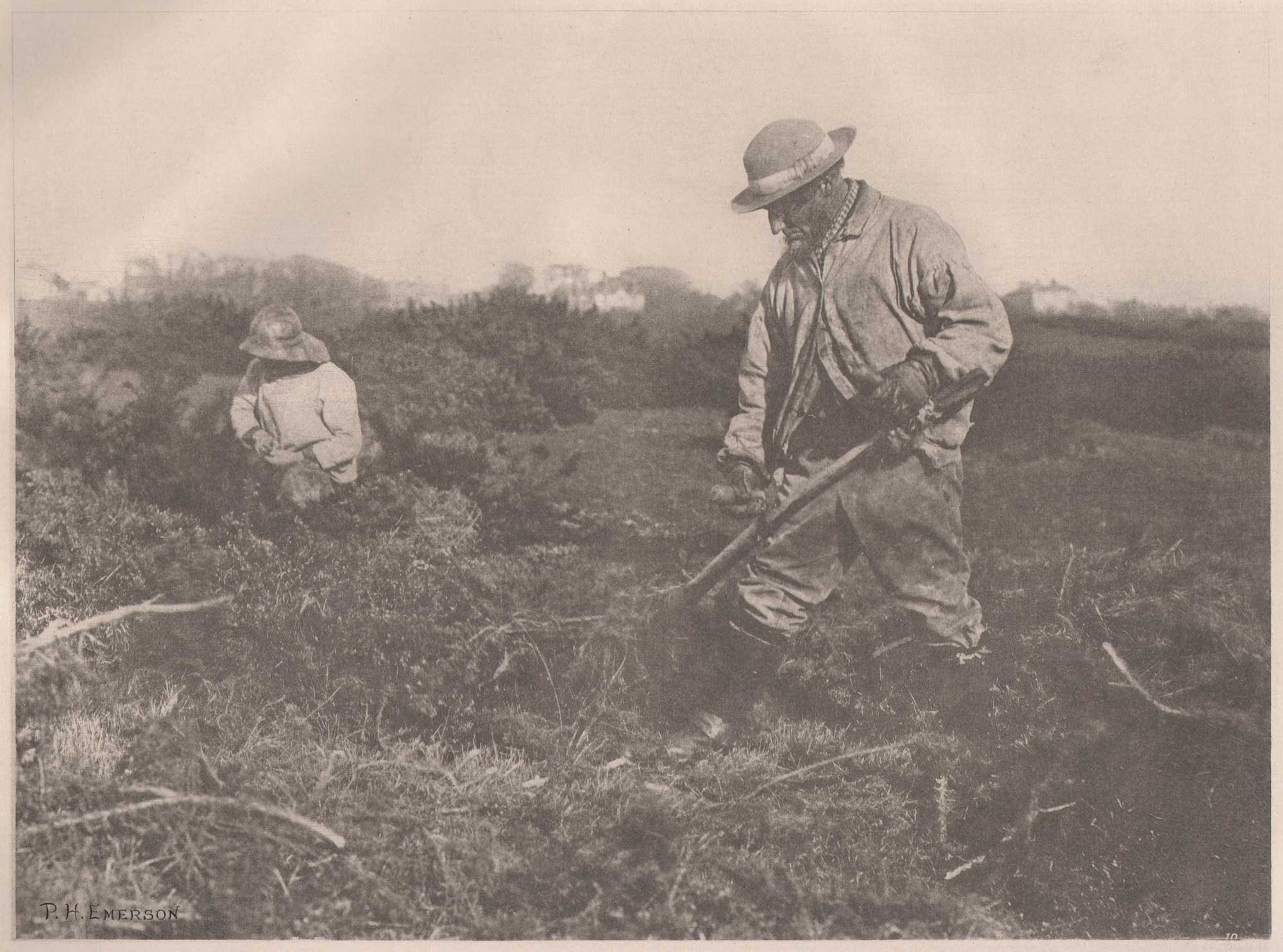 Furze Cutting on a Suffolk Common