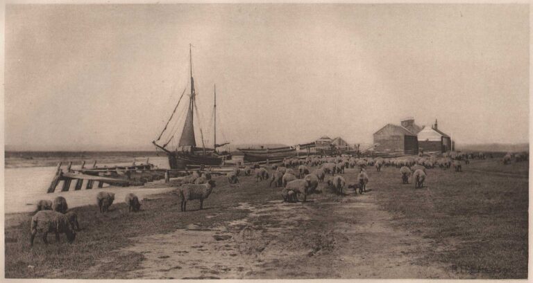 Blackshore, River Blythe  {Suffolk}