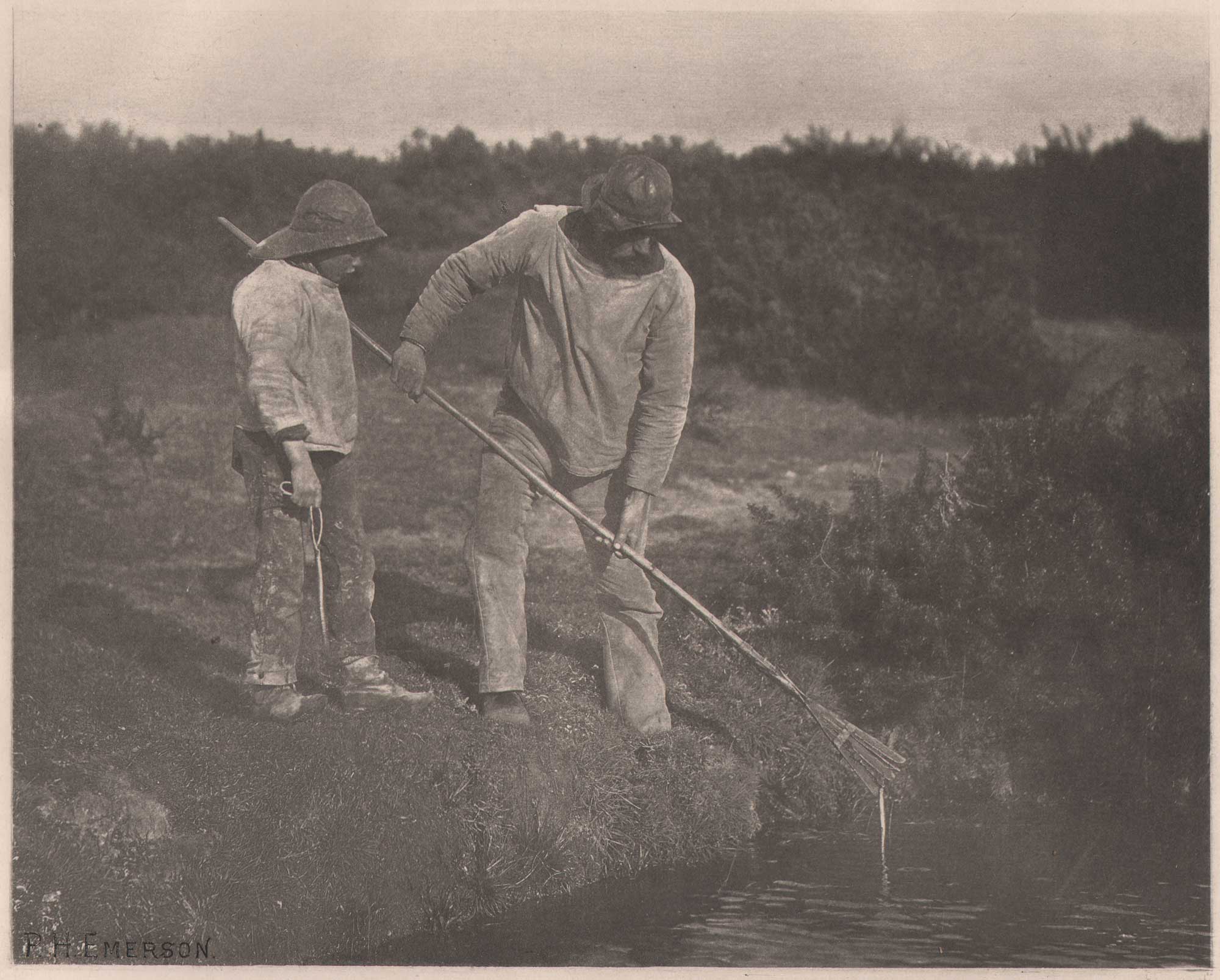 Eel Picking in Suffolk Waters