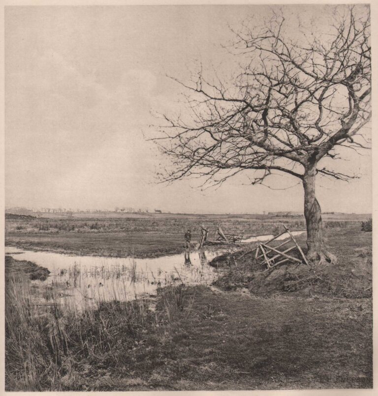 Leafless March  {Suffolk}