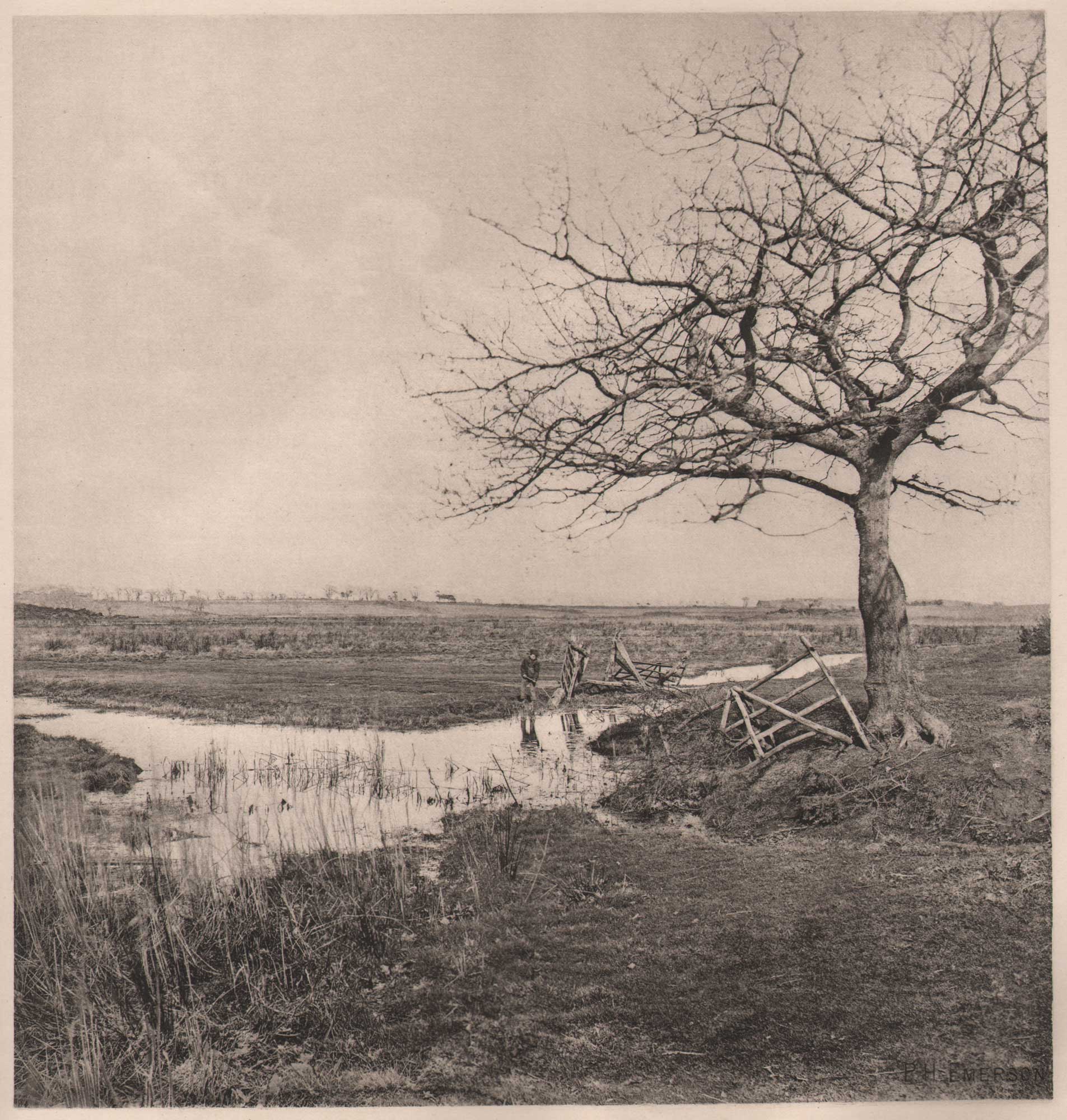 Leafless March {Suffolk}