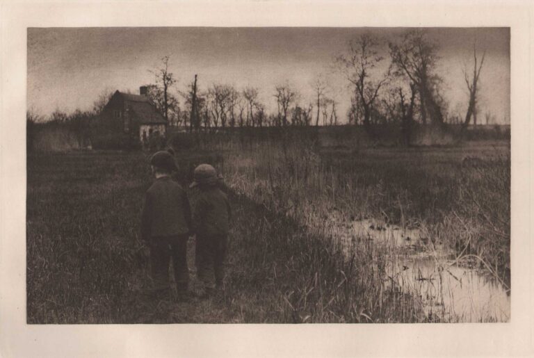 A Toad in the Path: Early Spring in Norfolk