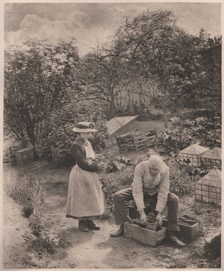 A Garden End  {Suffolk}