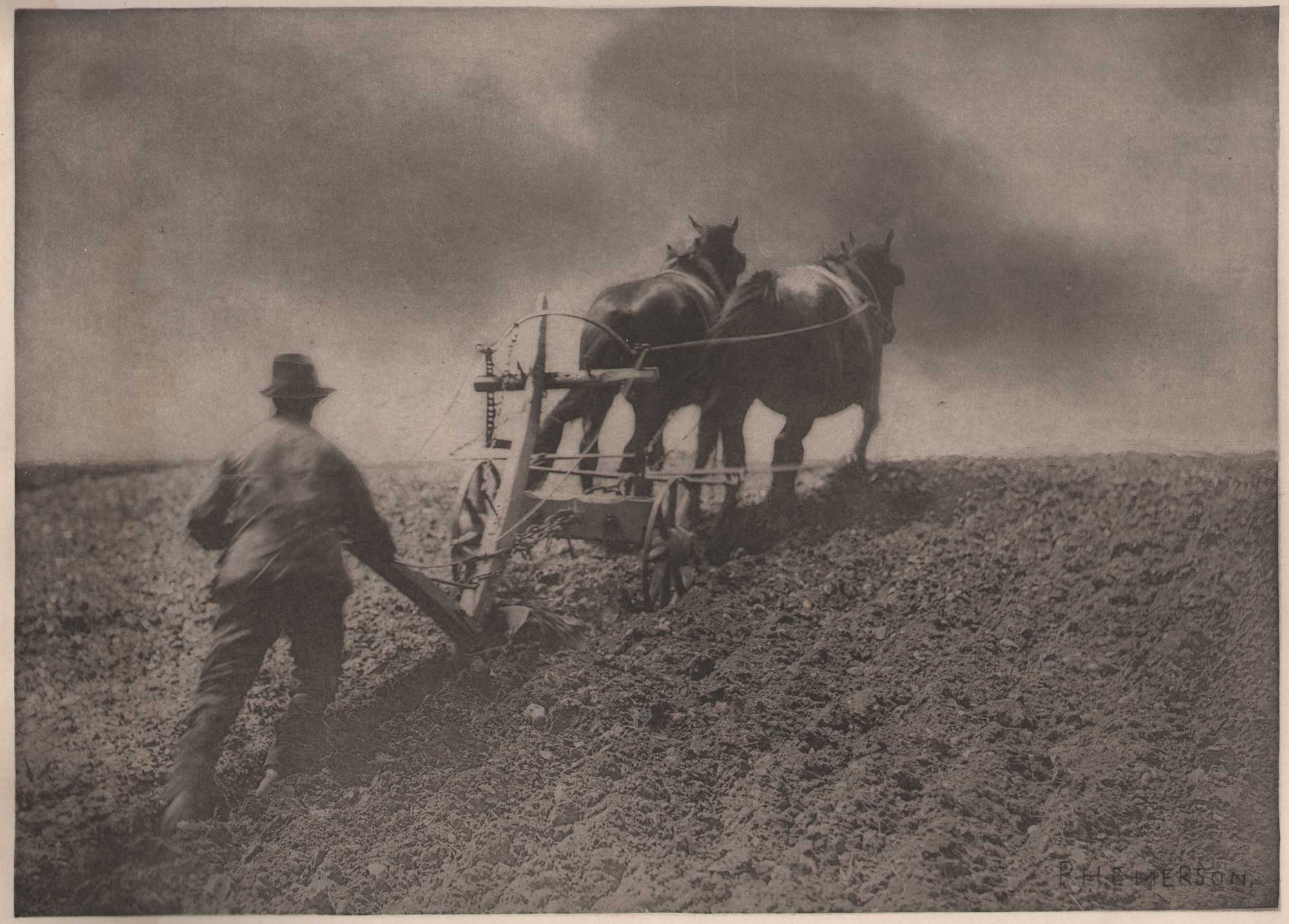 A Stiff Pull {Suffolk}