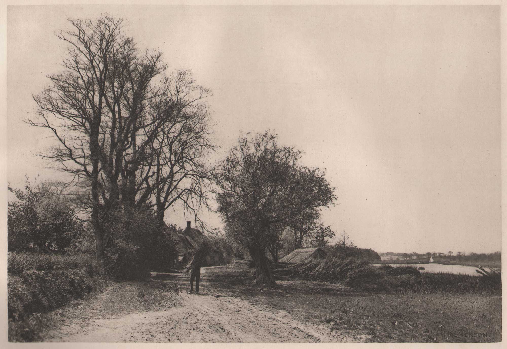 The Farm by the Broad {Norfolk}