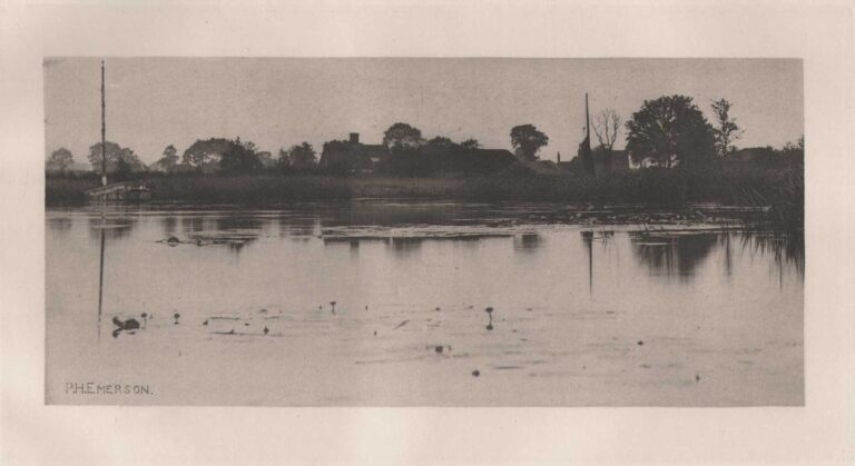 The Fringe of the Mere