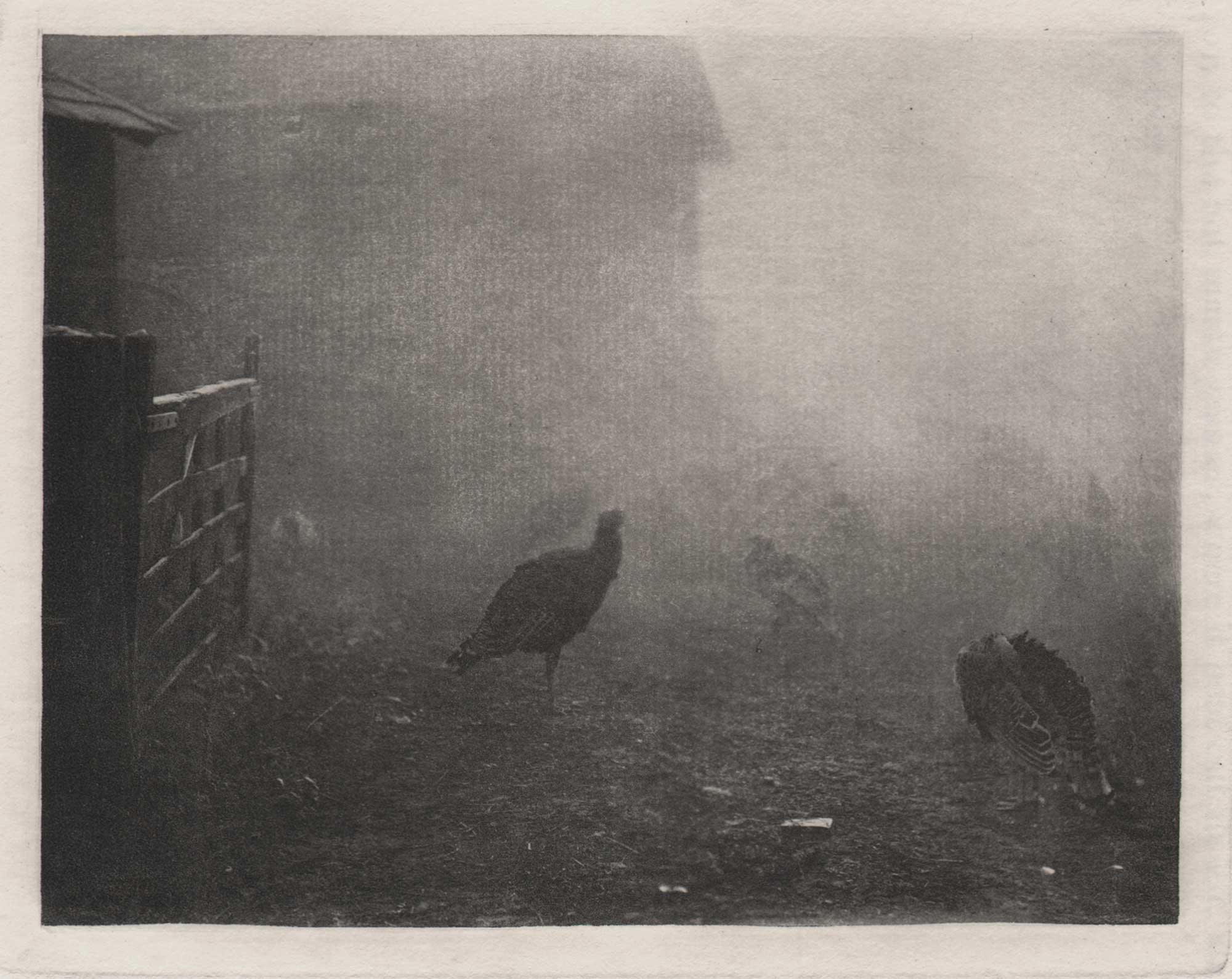 A Corner of the Farm-Yard