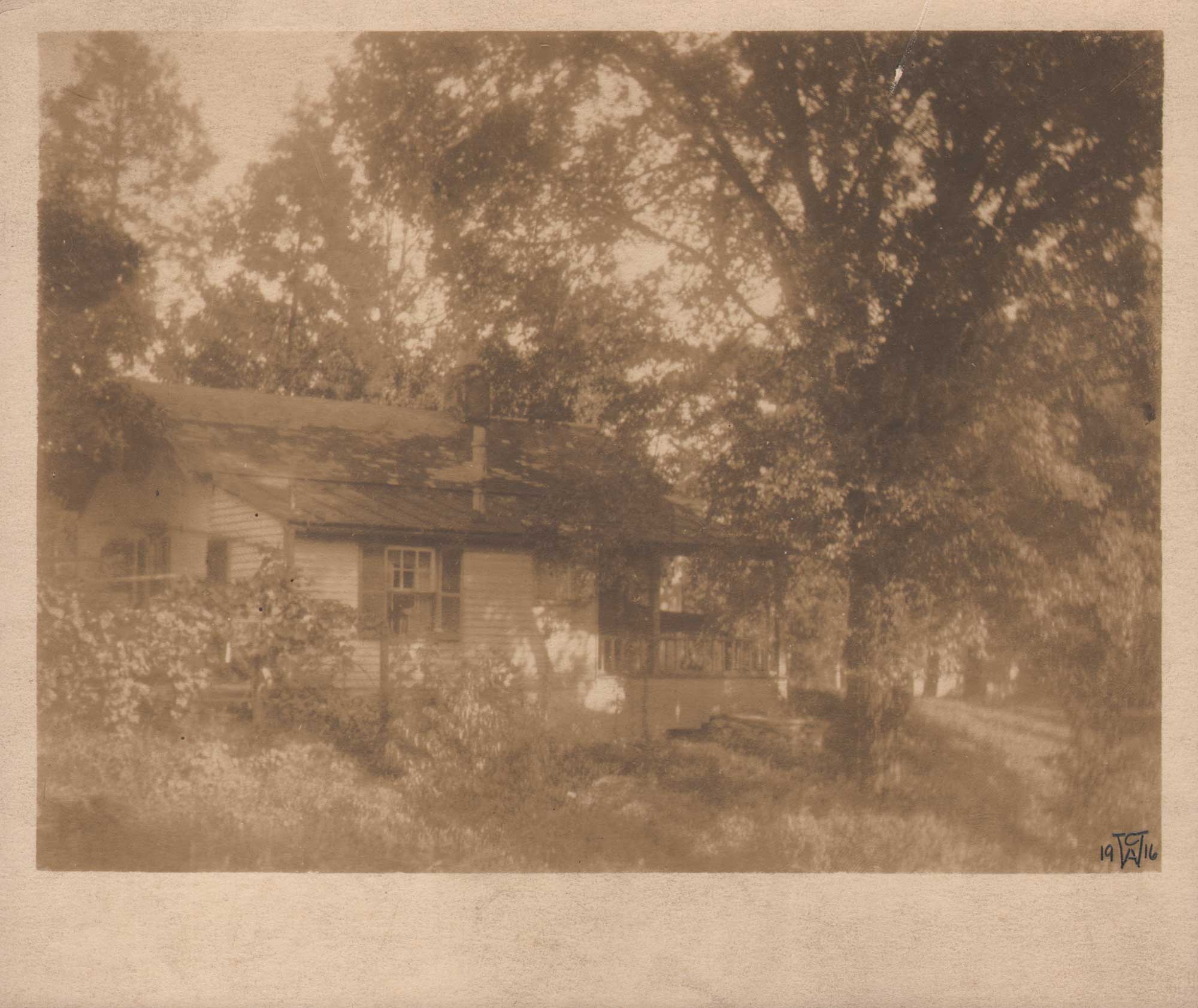 Sun-Dappled Home or Cabin