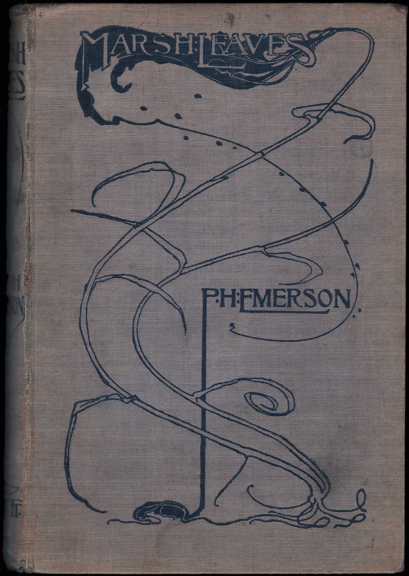 Volume Cover: Marsh Leaves