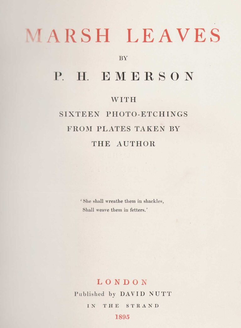 Title Page: Marsh Leaves