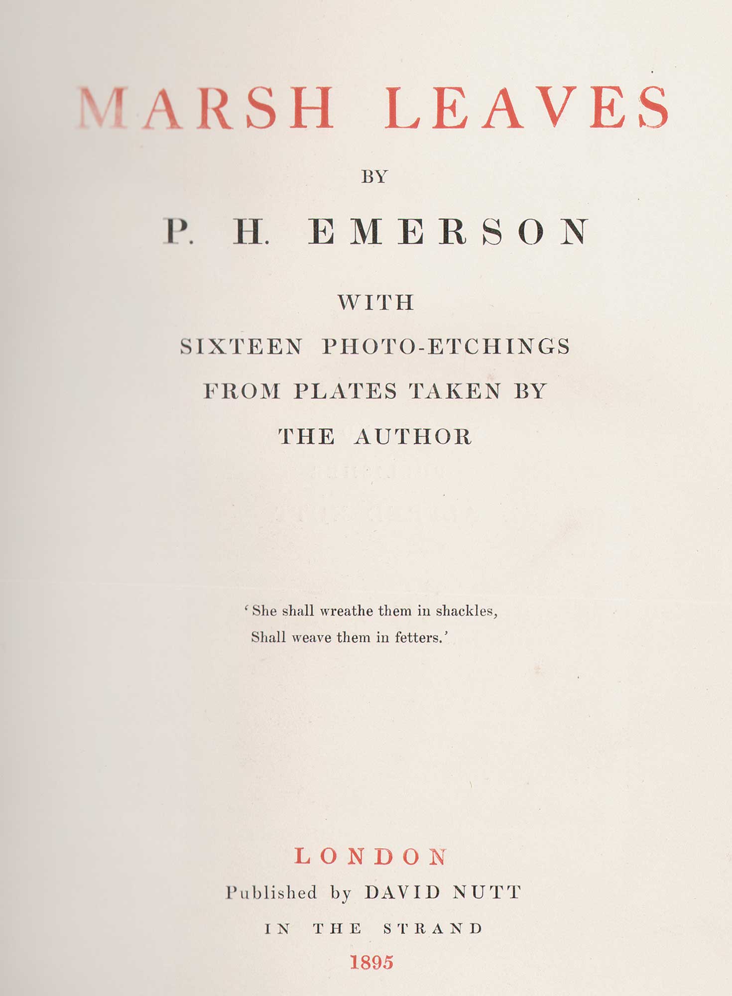 Title Page: Marsh Leaves