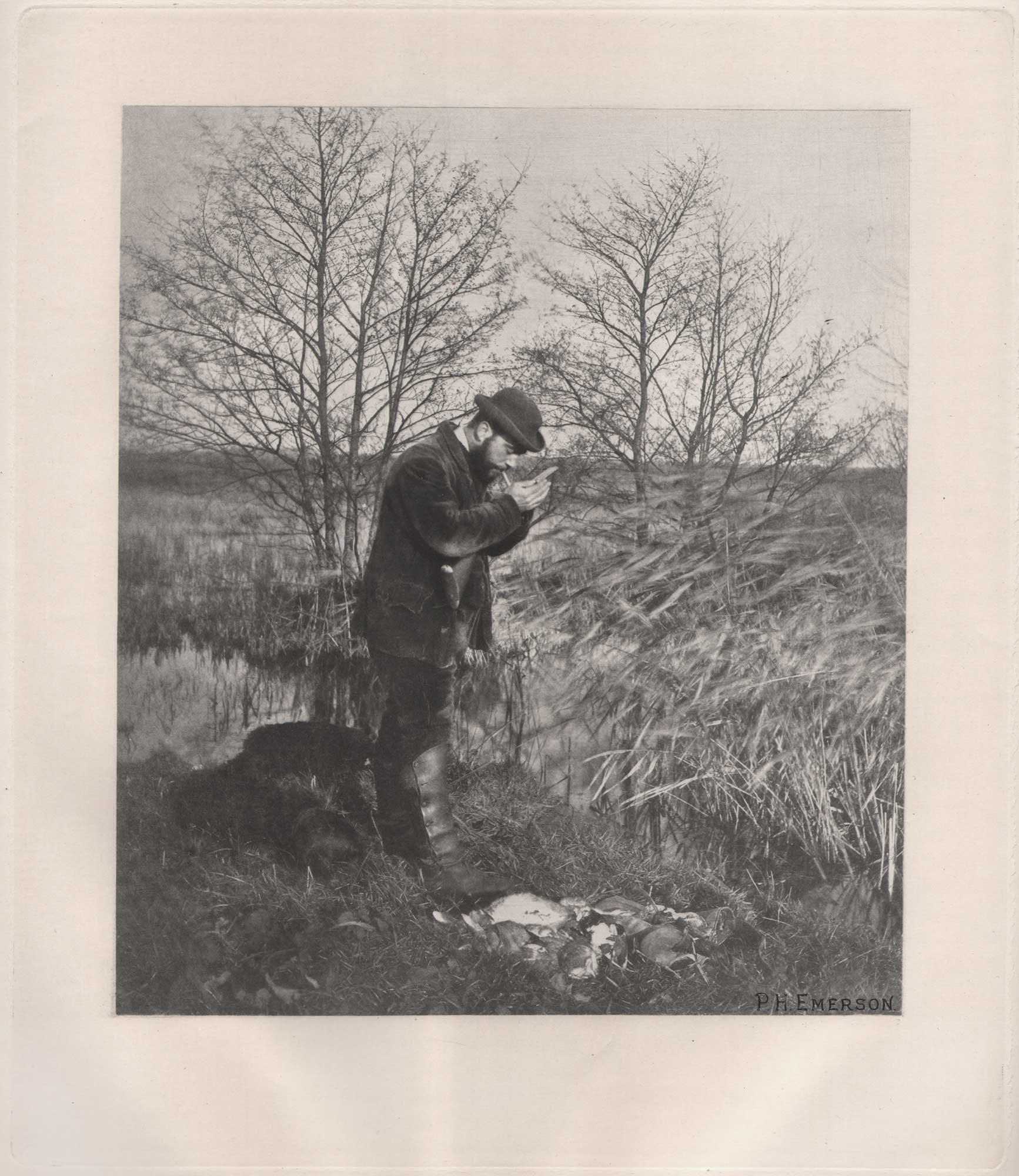 At the Covert Corner {Norfolk}