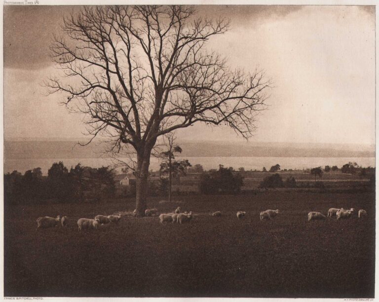 That Good Pasture Makes Fat Sheep