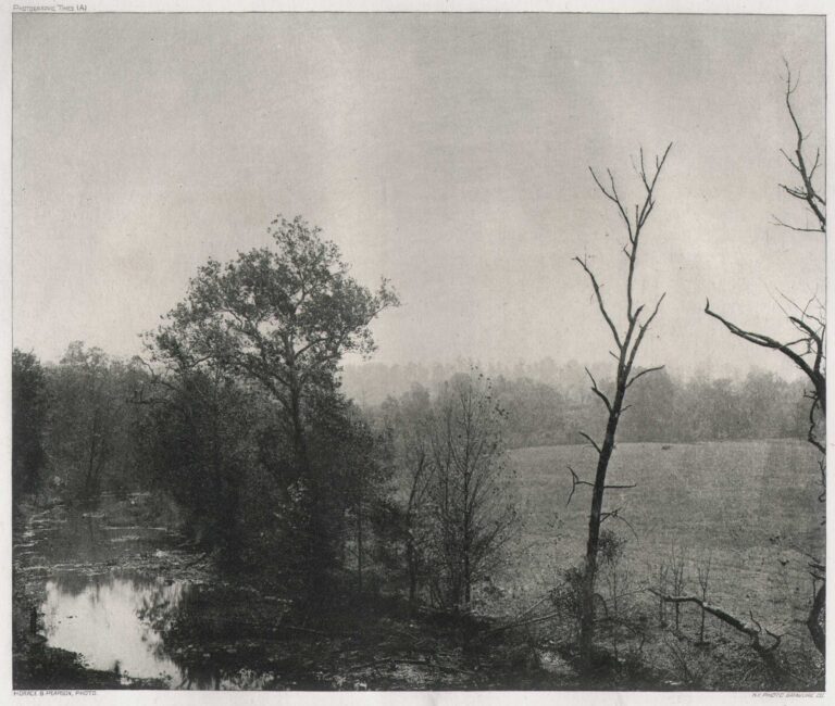 In the Blue Grass Country