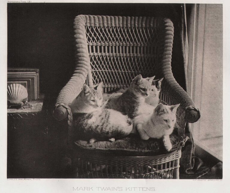 Mark Twain’s Kittens