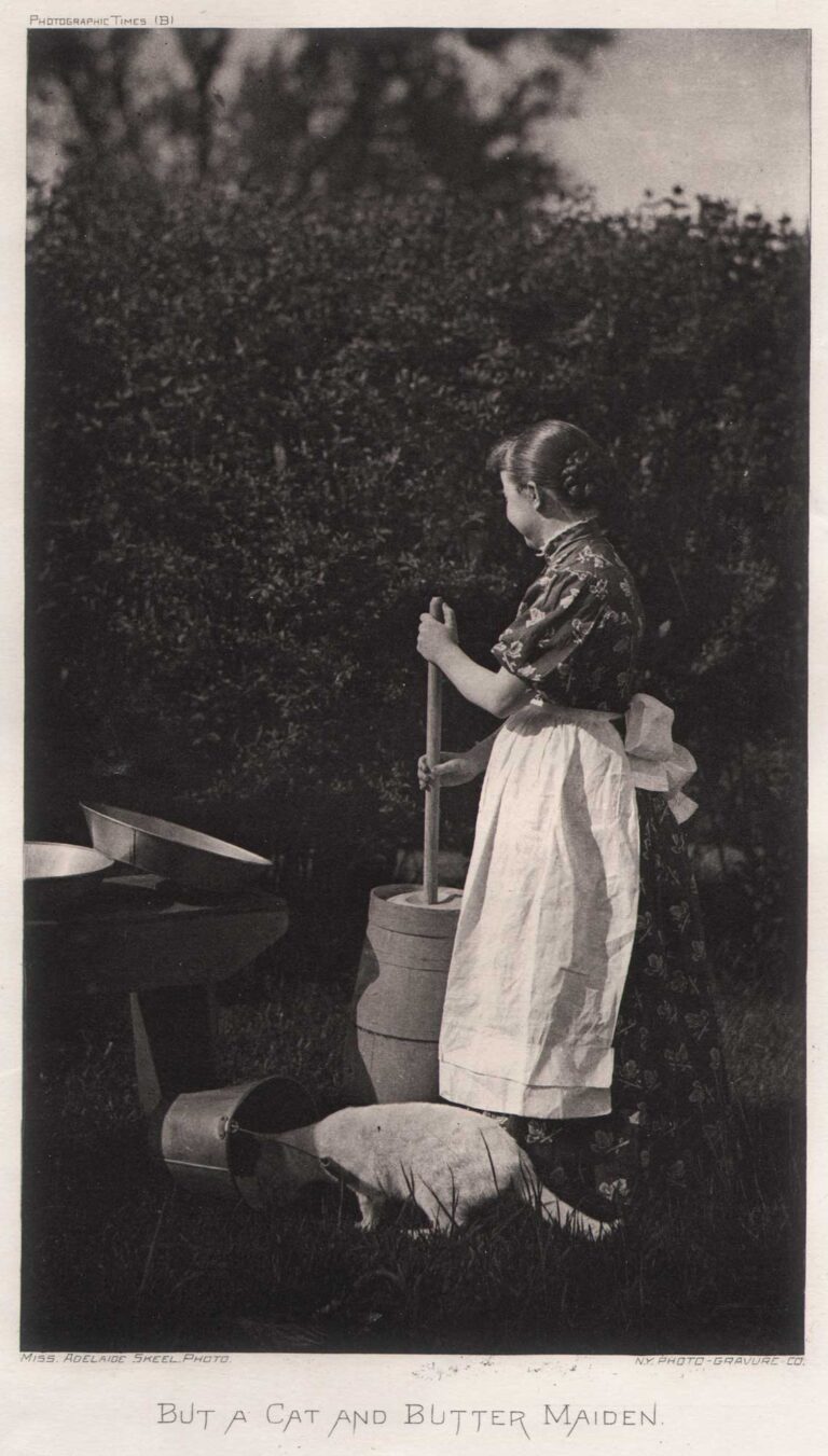 But a Cat and Butter Maiden