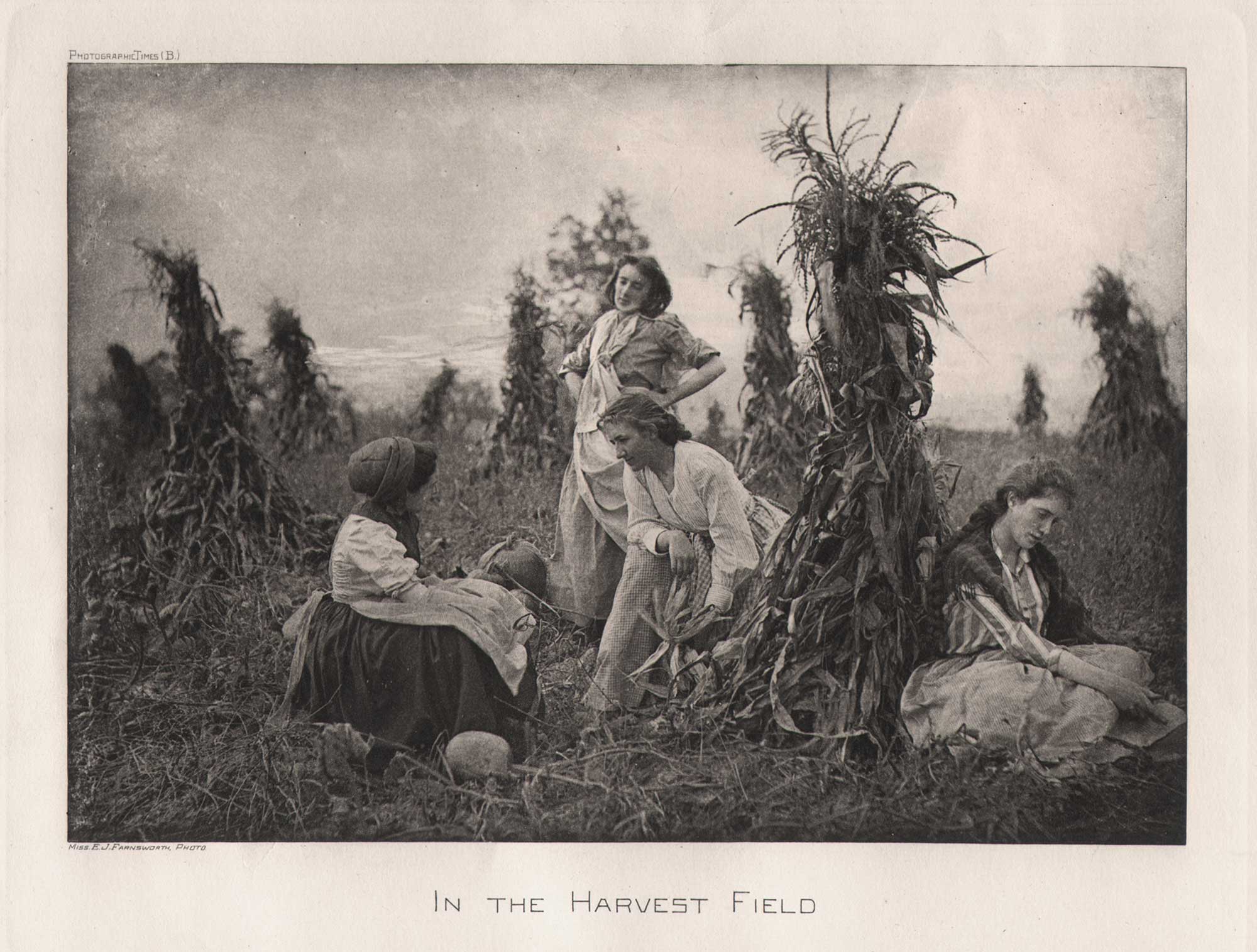 In the Harvest Field