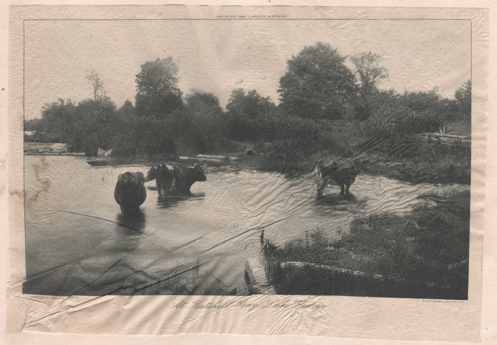 At Katskill Bay, Lake George
