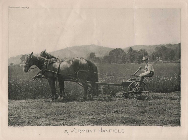 A Vermont Hayfield