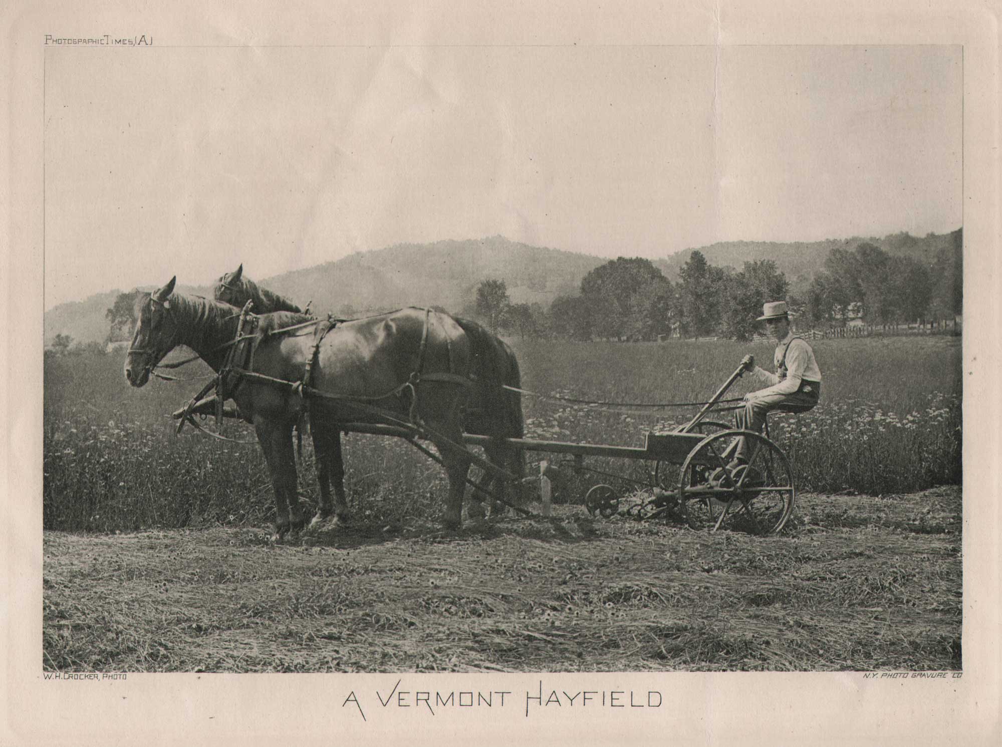 A Vermont Hayfield